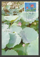 Macau Plantes Médicinales Fleur De Lotus Carte Maximum 1983 Macao Medicinal Plants Lotus Flower Maxicard - Cartoline Maximum