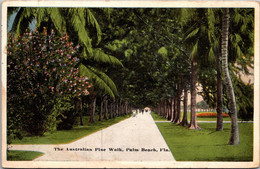 Florida Palm Beach The Australian Pine Walk 1917 - Palm Beach