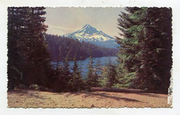 AK 110867 USA - Oregon - Mount Hood From The Lost Lake Viewpoint - Altri & Non Classificati