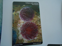 TURKEY USED  CARDS  FISH FISHES  MARINE LIFE - Poissons