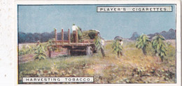 From Plantation To Smoker 1926  - 9 Harvesting Tobacco  - Players Cigarette Card - - Player's