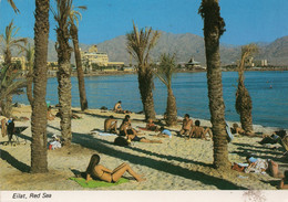 ISRAEL,EILAT - Israele