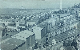 Blankenberge De Dijk En De Pier Gelopen 1961 - Blankenberge