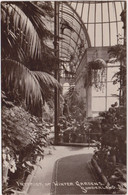 SUNDERLAND  Interior Of Winter Gardens - Altri & Non Classificati