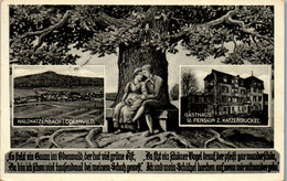 42548 - Deutschland - Waldkatzenbach , Odenwald , Gasthaus U. Pension U. Katzenbuckel , Hch. Ruhl - Gelaufen 1934 - Waldbrunn
