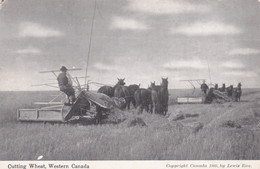 Canada Farming Scene Cutting Wheat In Western Canada - Otros & Sin Clasificación