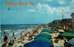 Virginia Virginia Beach Sunbathers On The White Sands - Virginia Beach