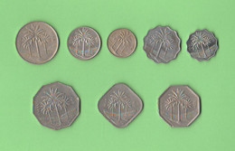 Iraq Set 8 Differents Coins 5 + 10 + 25 + 50 + 100 + 250 + 500 Fils + 1 Dinar Date Not Classified - Irak
