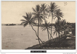 12661g HAWAII - On The Shore Of Pearl Harbor - 1911 - Big Island Of Hawaii