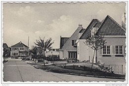 16692g HORTENSIASLAAN - Avenue Des Hortensias - Crainhem - Kraainem