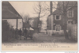 19475g MONTAGNE Des CAILLOUX - RUE Des CRAPAUDS - Schaerbeek - 1903 - Schaarbeek - Schaerbeek