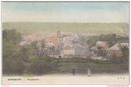 23094g VILLAGE - Panorama - Sprimont  - Colorisée - Sprimont