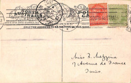 Ac6723 -  SOUTH AUSTRALIA  - Postal History - POSTCARD To TUNIS Via SUEZ !  1910 - Brieven En Documenten