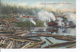 16121) USA OR  Bridal Veil Falls Logging Camp Postmark Cancel See Back - Altri & Non Classificati