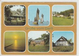 Darß, Mecklenburg-Vorpommern - Ribnitz-Damgarten