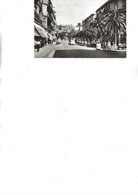 ORAN- ALGERIE - CARTE PHOTO BOULEVARD CLEMENCEAU PROLONGE - Oran