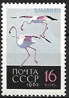 Russia CCCP : MNH ** 1962 :   Greater Flamingo -   Phoenicopterus Roseus - Flamingos