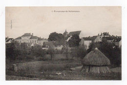 41 LOIR ET CHER - SELOMMES Panorama (voir Description) - Selommes