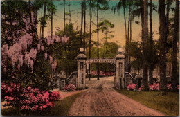 South Carolina Summerville An Entrance Gate Handcolored Albertype - Summerville