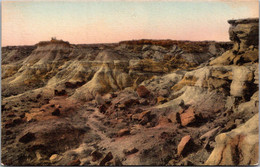 Arizona Petrified Forest National Monument Painted Desert In Rainbow Forest Handcolored Albertype - Tucson