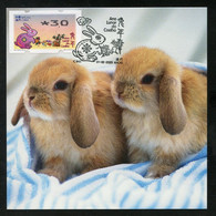 MACAU MACAO (2023) Ano Lunar Do Coelho / Lunar Year Of The Rabbit / Año Del Conejo - Nagler ATM - Carte Maximum Card - Maximum Cards