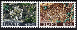 Iceland - 1967 - Birds' Nests - Mint Stamp Set With Charity Surcharge - Nuovi