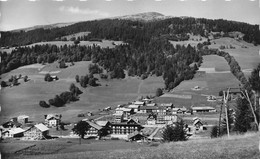 Les Gets * Village Du Benevy Et Le Mont Chéry - Les Gets