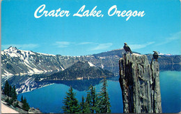 Oregon Crater Lake Birds Clark's Nutcracker 1964 - Altri & Non Classificati