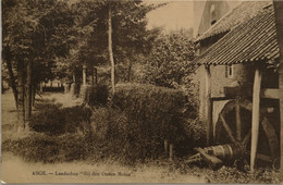 As - Asch // Landschap Bij Den Ouden Molen 1929 - As