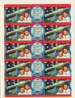 UdSSR 1978 MiNr.4728 - 4729 Bogen ** Postfrisch 96 Tage Aufenthalt In Der Raumstation ( Bg. 18 ) Günstige Versandkosten - Full Sheets