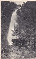 CPA ABERGWYNGREGYN- ABER FALLS - Gwynedd