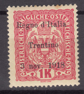 Italy Trento, Trentino Alto Adige 1918 Sassone#15 Mint Hinged - Trento