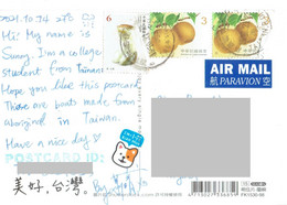 C6 : Taiwan - Apple Like Fruit Stamps Used On Postcard - Lettres & Documents