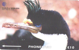 Falkland Islands:Used Phonecard, Cable & Wireless, 10£, Bird, King Cormorant, Phalacrocorax Atriceps Albiventer - Isole Falkland