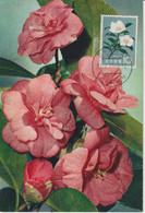 Carte Maximum Japon 1961 Série Fleurs Camélia 675 - Cartoline Maximum