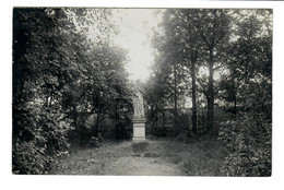 Virton  CARTE PHOTO / MERE  De L'edit  Collège Saint-Joseph Une Allée Du Jardin - Virton