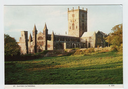 Cymru, Pays De Galles, St Davids Cathedral, Eglwys Gadeiriol Tyddewi. - Pembrokeshire
