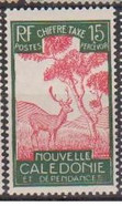 NOUVELLE CALEDONIE          N° YVERT  :  TAXE 30  NEUF SANS CHARNIERES   ( NSCH   02/16  ) - Timbres-taxe