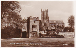 CPA WELLS- CATHEDRAL - Wells