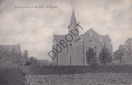 Postkaart/Carte Postale - Bekkevoort -  Kerk (C3296) - Bekkevoort