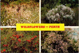 (3 Oø 21) Australia - WA (posted With Flowers 18cents Stamp) Wild Flowers Perth - Andere & Zonder Classificatie