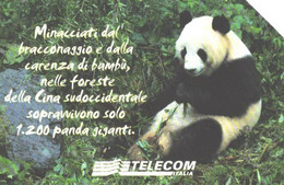 Italy:Used Phonecard, Telecom Italia, 5000 Lire, Panda, 2003 - Pubbliche Tematiche