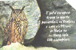 Italy:Used Phonecard, Telecom Italia, 10000 Lire, Owl - Pubbliche Tematiche