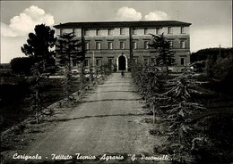 CERIGNOLA - ISTITUTO TECNICO AGRARIO - G. PAVONCELLI - EDIZIONE VASCIAVEO - 1960s (14152) - Cerignola