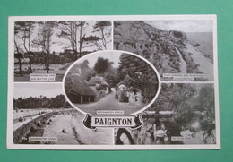 Paignton - 5 Details - Paignton