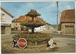 Liffol Le Grand (88 - Vosges)  La Fontaine - Liffol Le Grand