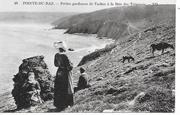 PLOGOFF ( 29 ) -  Gardeuse De Vaches à La Baie Des Trépassés - Plogoff