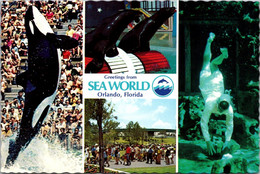 Florida Orlando Sea World Greetings With Multi View - Orlando
