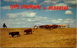 Nebraska Fort Niobrara National Wildlife Refuge Texas Longhorns - Andere & Zonder Classificatie