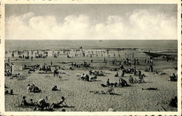 Belgique - Flandre Occidentale - Wenduine - Wenduyne - La Plage - Wenduine